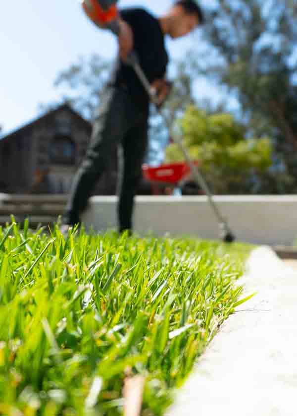 Landscaping Service - Photo of a man edging a lawn with a weed wacker.