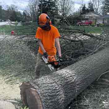 Tree Removal - Photo of the owner Andriy Lavrishin with a chainsaw cutting a fallen tree.