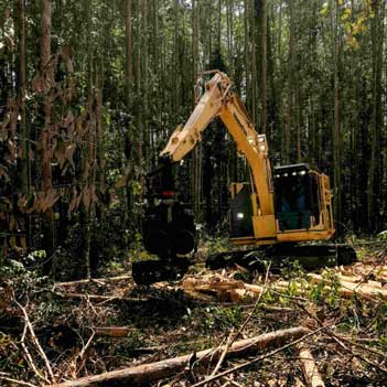 Excavating Contractor - Photo of the owner of Lavish Landscaping on an excavator clearing trees from a lot.
