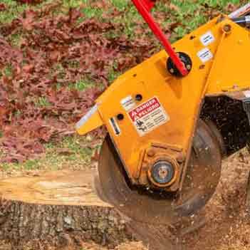 Stump Grinding Service