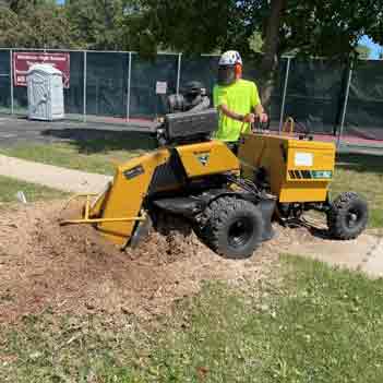 Stump Grinding - Photo of the owner of Lavish Landscaping Service grinding a large tree stump.