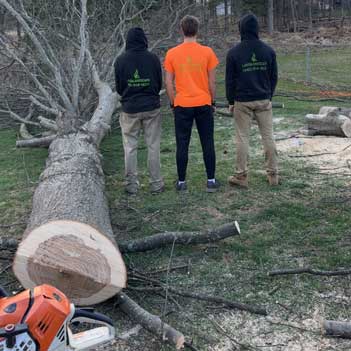 Tree Removal Service - Photo of owner and two workers standing next to a large fallen tree with wearing company jackets.