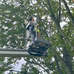Tree Removal Lift - Photo of the owner of Lavish Landscaping Service in a lift bucket trimming a tree.