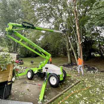 Tree Removal Service - Photo of a tree being removed by Lavish Landscaping Service.